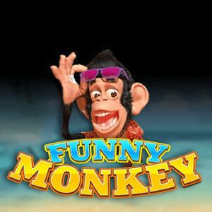 Funny Monkey